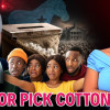 Democrat Hank Johnson Warns Black People: Vote for Us—or Pick Cotton!