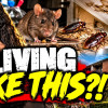 PAYING RENT TO LIVE LIKE THIS?! Tenants Are FED UP With DISGUSTING Conditions!