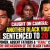 Black Women, Absent Fathers & “Feral” Children: The Breakdown of the Black Family
